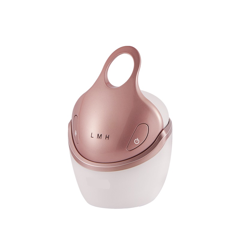 多機能 EMS RF フェイスリフト しわ防止 電気美容機器 肌引き締め装置