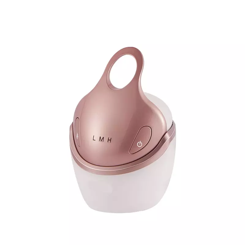 多機能 EMS RF フェイスリフト しわ防止 電気美容機器 肌引き締め装置